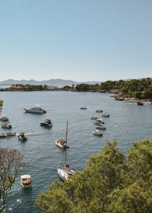 Anse sauvage en Camargue – Vue sur les bateaux au mouillage Vue panoramique d’une anse camarguaise bordée de pins avec plusieurs bateaux au mouillage, dans un décor naturel et paisible