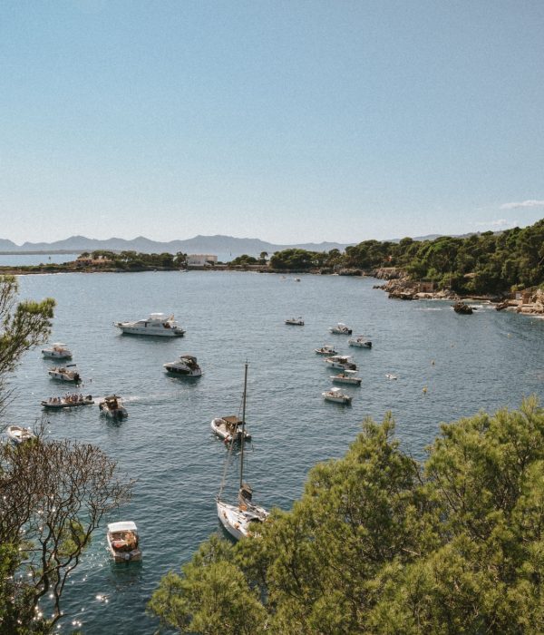 Anse sauvage en Camargue – Vue sur les bateaux au mouillage Vue panoramique d’une anse camarguaise bordée de pins avec plusieurs bateaux au mouillage, dans un décor naturel et paisible